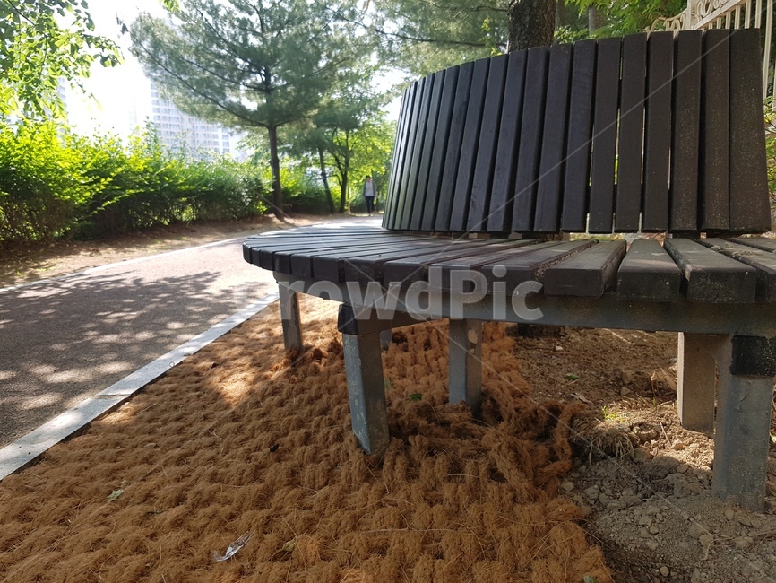 벤치,의자,나무의자,산책로,원형