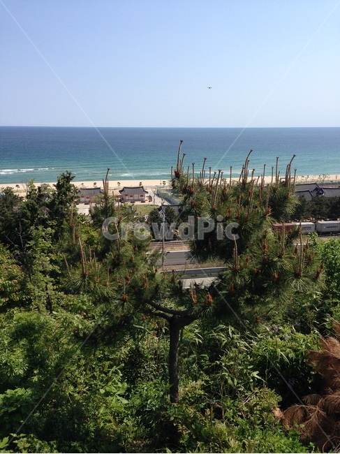 바다,동해,자연,풍경,여름,sea,eastsea,nature,landscape,scenery,summer