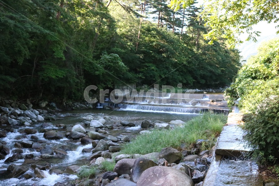 여름,휴가,계곡,물,나무,식물,초록,돌,바위,summer,natsu,vacation,kyuuka,valley,keikoku,water,mizu,tree,ki,plants,shokubutsu,green,midori,stone,ishi,rock,iwa,여름,계절,summer,season,자연,풍경,nature,landscape,outdoors,옥외