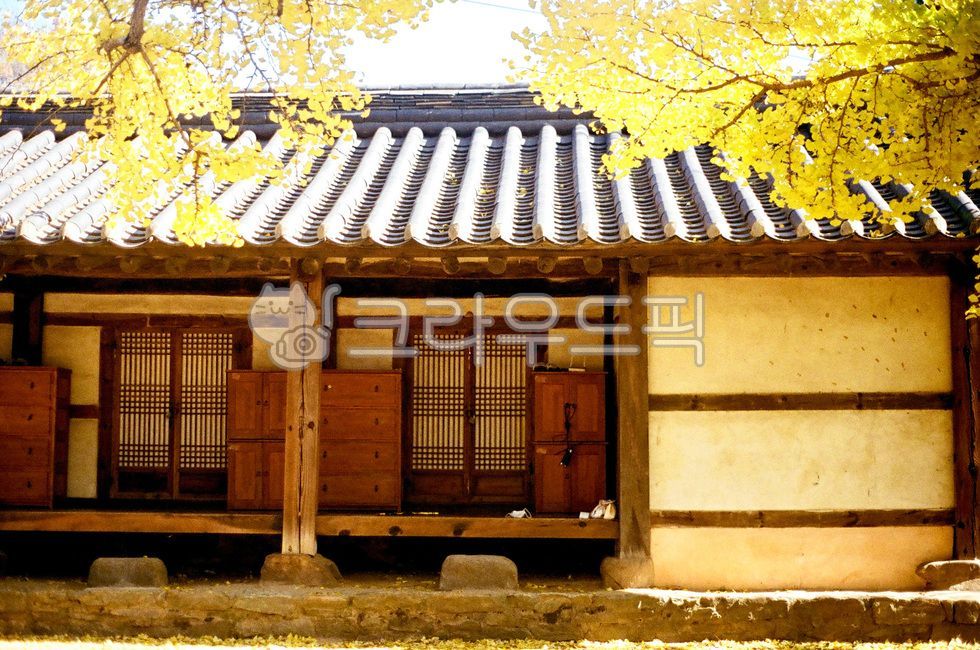 한옥, 전주, 전주향교, 가을, 단풍, 사진,이미지,일러스트,캘리그라피 - 선비야작가