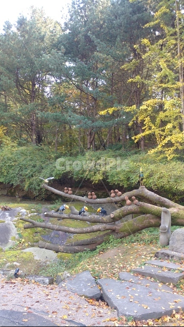 새,숲,나무새,새조형물,숲새,woodbird,bird,forest,나무
