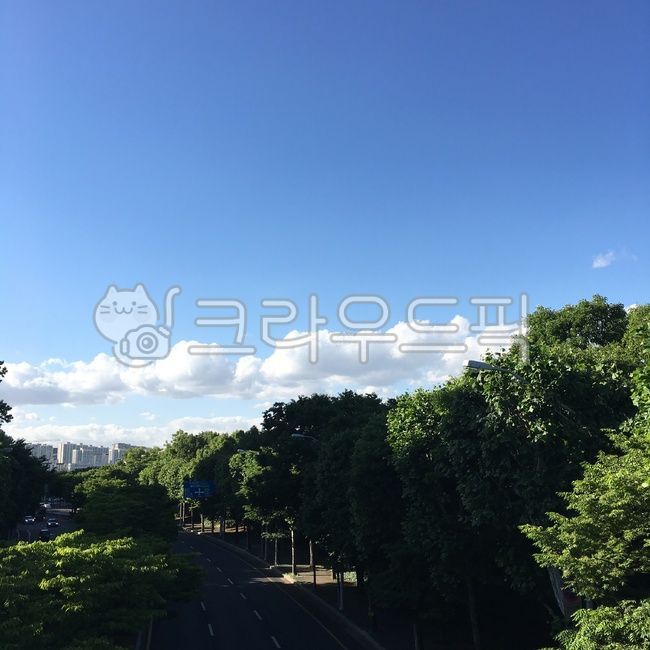sky,cloud,driveway,tree,road name,clouds,asphalt