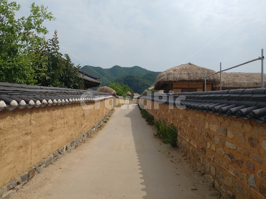 안동,하회마을,세계문화유산,시골,초가집,한옥,안동시,시골,마을,풍경,landscape,country,rural,town,한국전통,한국문화,korean traditional,korean culture