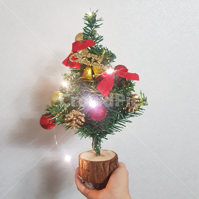 트리,크리스마스트리,나무,tree,식물,메리크리스마스,성탄절,merry christmas