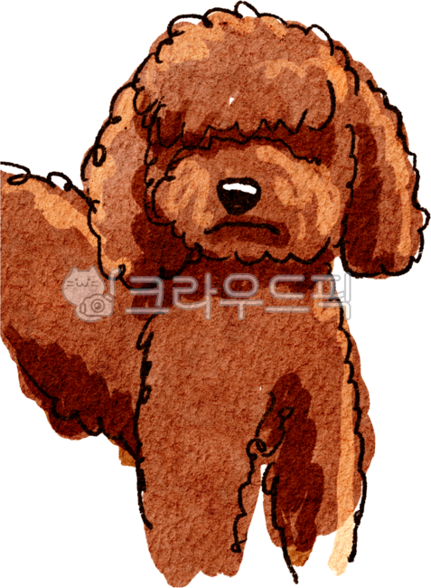 강아지그림,강아지,반려견,개,캐릭터,강아지일러스트레이션,일러스트레이션,그림,puppy,dog,illustration,국제강아지의날,멍멍이,댕댕이,푸들,갈색,brown,puddle