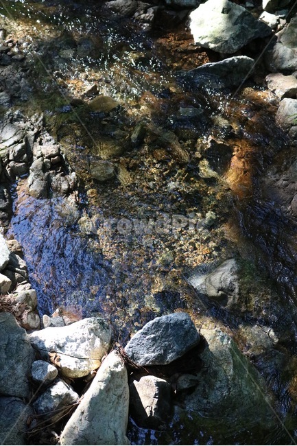 자연,식물,햇빛,여름,nature,plants,shokubutsu,sunlight,hizashi,summer,natsu,계곡,물,valley,keikoku,water,mizu,돌,바위,stone,rock,ishi,iwa,자연,풍경,nature,landscape,outdoors,옥외,rubble,파편