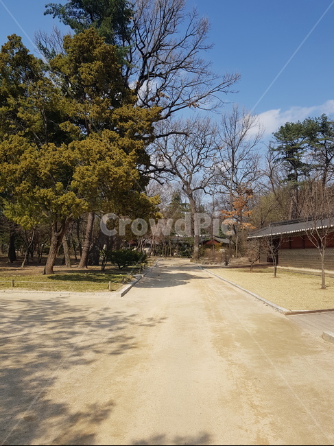 nature,자연,outdoors,옥외,road,도로