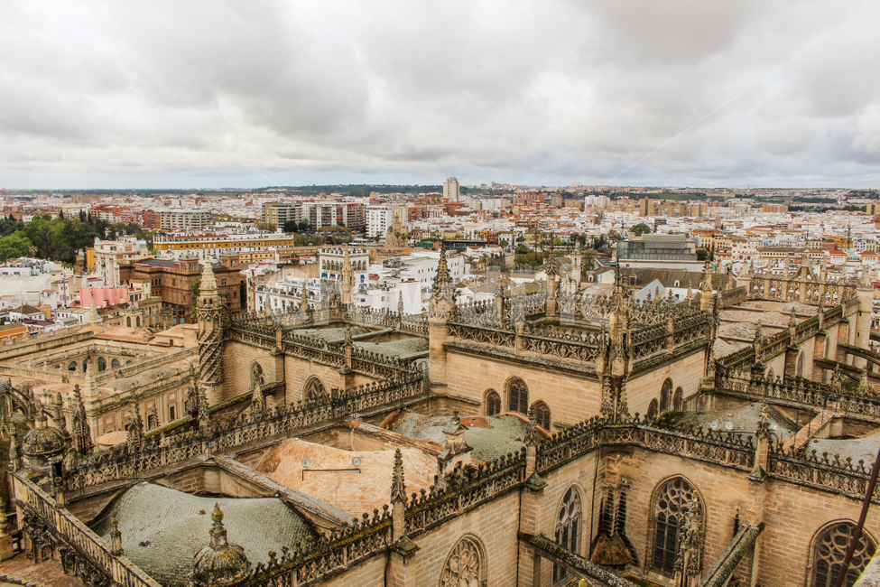 세비아,스페인,세비아전경,외국도시,도시,오래된마을,마을,전경,도시,풍경,city,landscape,해외,외국,세계,foreign,oversea,world,세계도시풍경,해외도시풍경,외국도시풍경,world cityscape,nature,자연,outdoors,옥외,경치,scenery