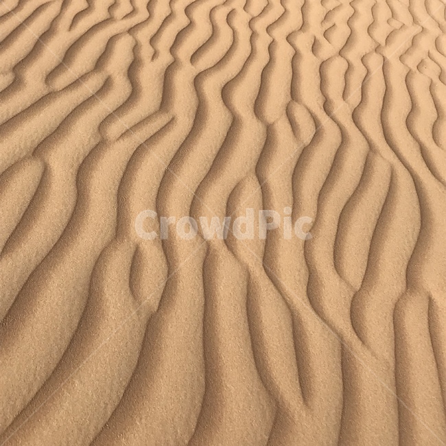 사막,모래,desert,sand,중동,middleeast,arab,오만,바람,사우디,텍스처,질감,패턴,texture,pattern