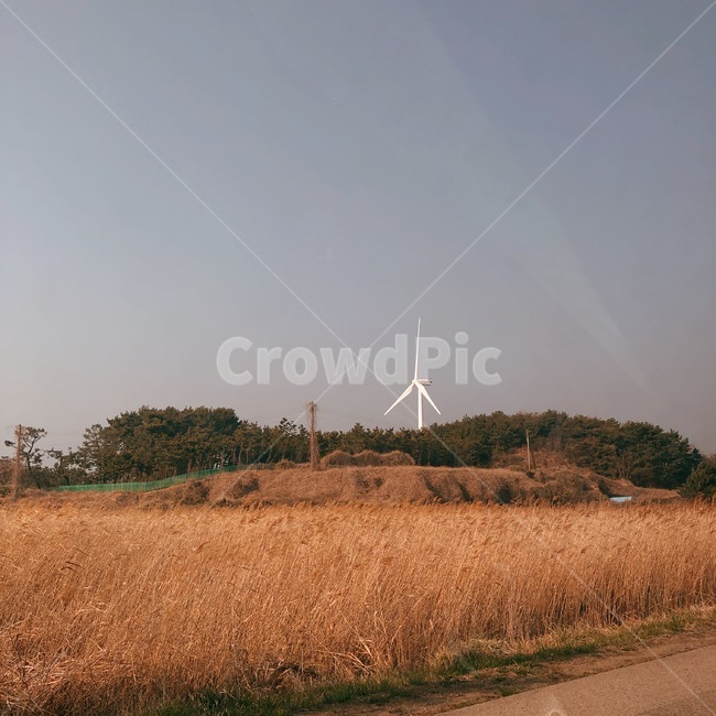 나무,가을,풍경,배경,갈대,가을,계절,fall,autumn,season,engine,엔진,machine,기계,motor,모터