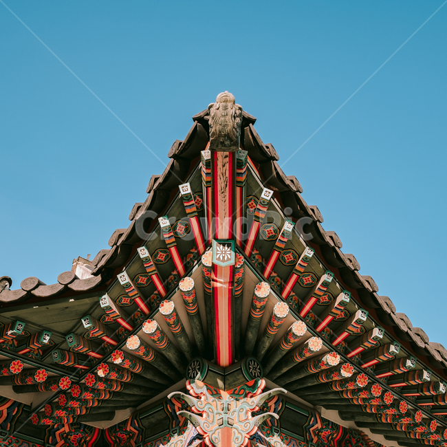 단청,한옥,전통,무늬,궁궐,창덕궁,패턴,한국적인,대한민국,우리나라,건축,건축물,한국전통,한국문화,korean traditional,korean culture,건축물,건물외관,exterior,building,structure,architecture,construction