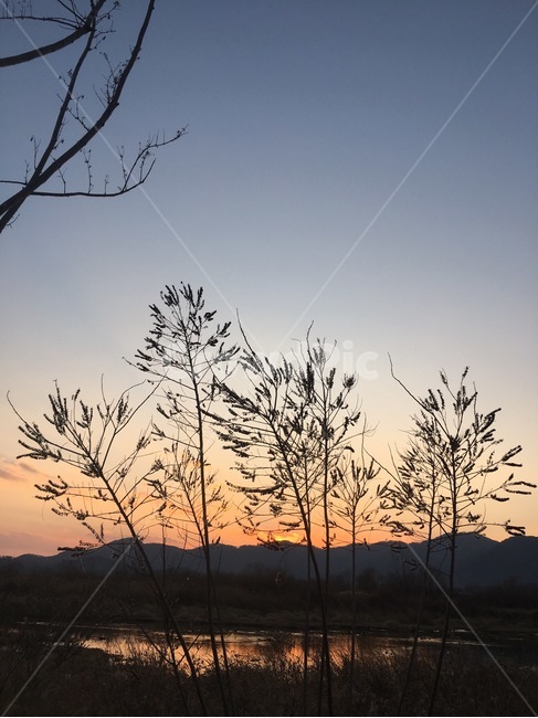감성,가을,나무,노을,풍경,자연,풍경,nature,landscape,outdoors,옥외,dusk,황혼,sunset,일몰,sky,하늘,dawn,새벽,red sky,붉은 하늘