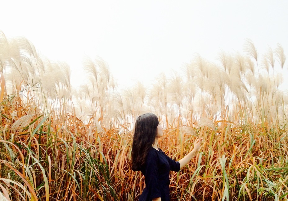 갈대,가을,여자,옆모습,분위기,가을,계절,fall,autumn,season,사람,인물,인간,human,person,여성,여자,woman,female,lady,grass,잔디,plant,식물,lawn,vegetation,초목