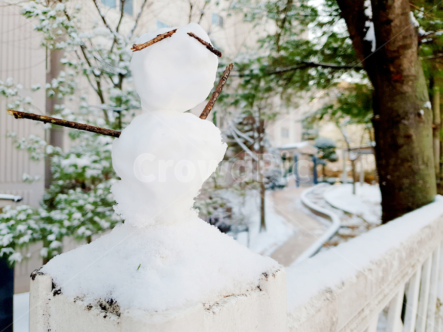 눈,눈사람,겨울,snow,계절,눈송이,season,나무,한겨울,크리스마스,눈꽃,풍경,아파트,도시,한국