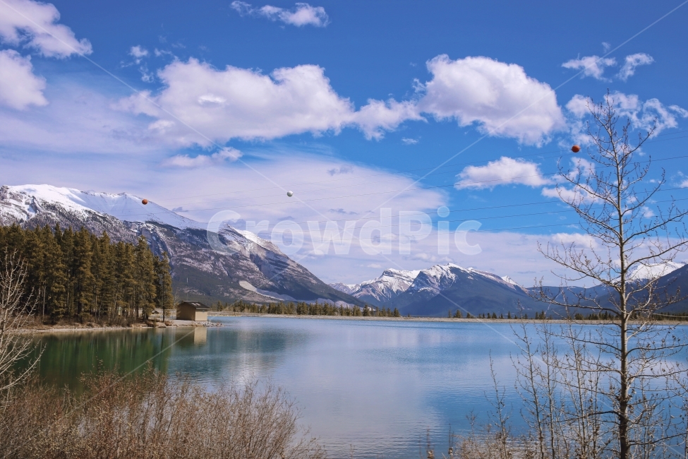 스냅,snap,풍경,landscape,여행,travel,자연,nature,자연,풍경,nature,landscape,해외,외국,세계,foreign,oversea,world,세계자연풍경,해외자연풍경,외국자연풍경,world nature landscape,water,물,outdoors,옥외,plant,식물,fir,전나무,abies,아비,tree,나무