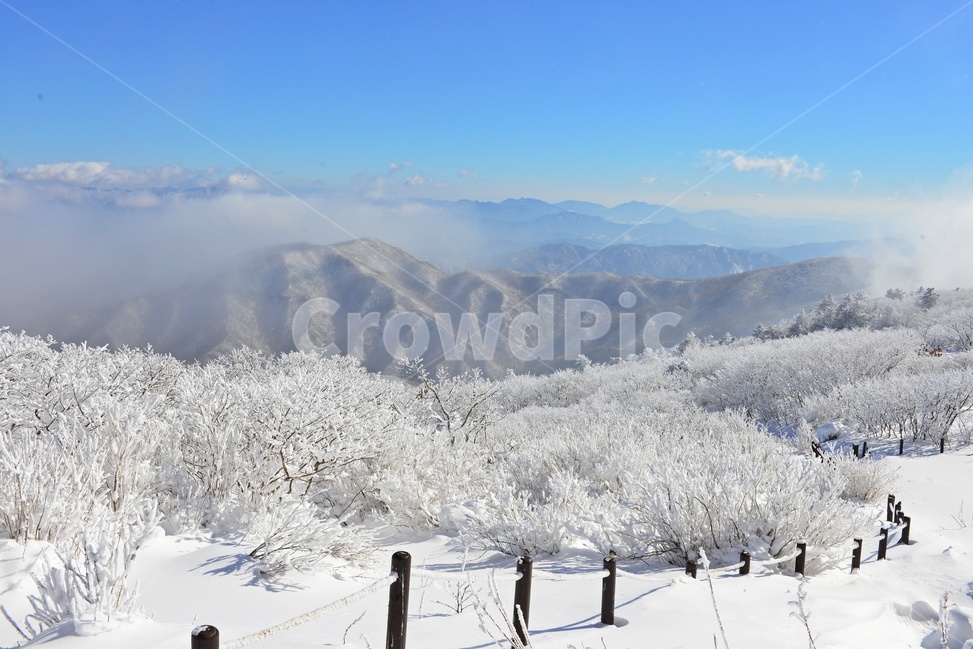전북,무주,설천봉,상고대,상제루,mountainrange,산맥,winter,겨울,blizzard,눈보라,storm,폭풍,nature,자연,outdoors,옥외,ice,빙,snow,눈,mountain,산,향적봉,겨울,계절,winter,season,자연,풍경,nature,landscape
