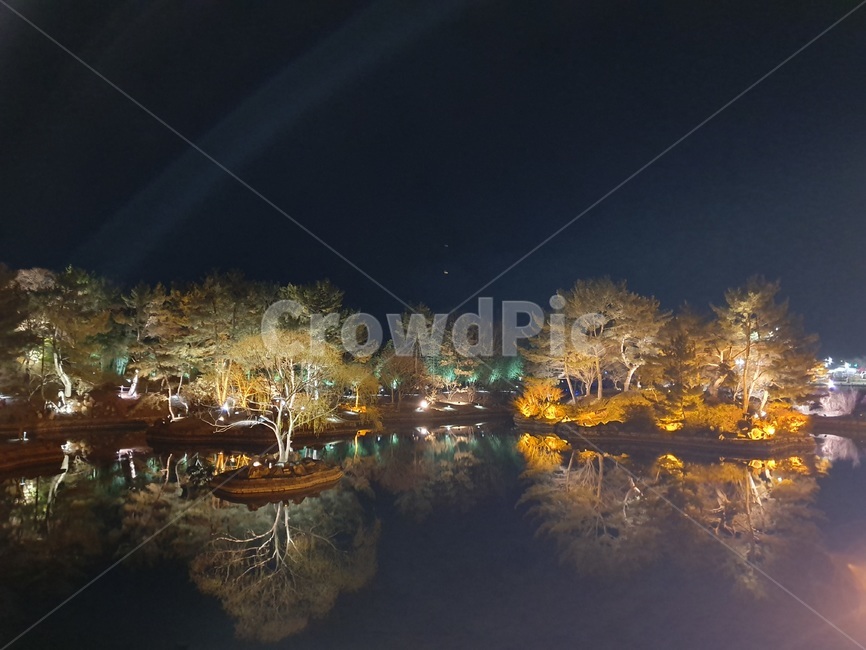 경주,안압지,동궁과월지,야경,유적지