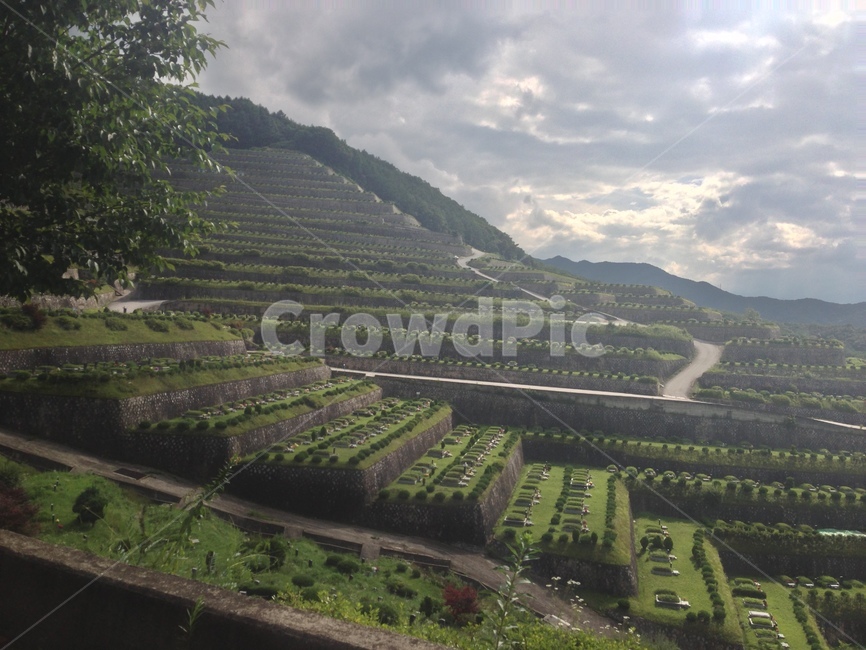 공동묘지,그리움,묘지,산소,죽음,자연,풍경,nature,landscape,scenery,outdoors,옥외,경치