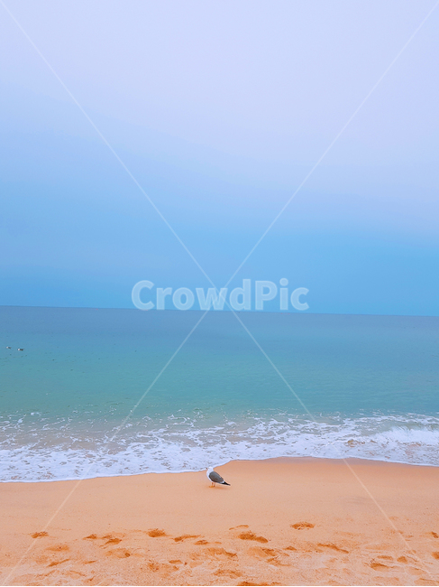바다,자연,푸른바다,풍경,해변,해변,바다,beach,sea