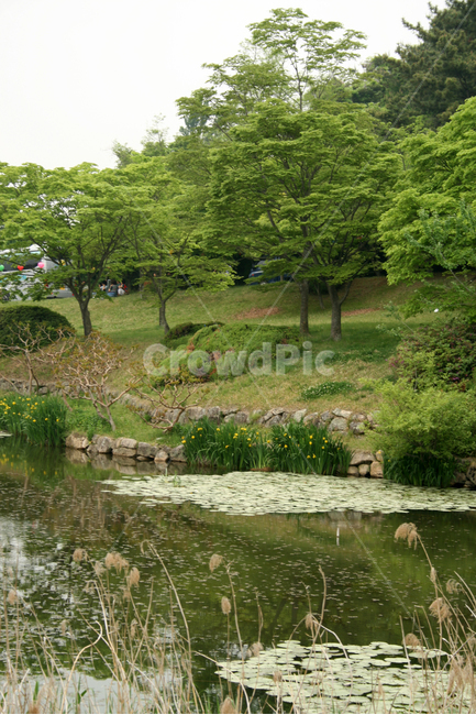 풍경,반야연지,연못,한국,경주,불국사,자연,풍경,nature,landscape,한국자연풍경,한국자연경관,korea nature landscape,water,물,outdoors,옥외,land,땅