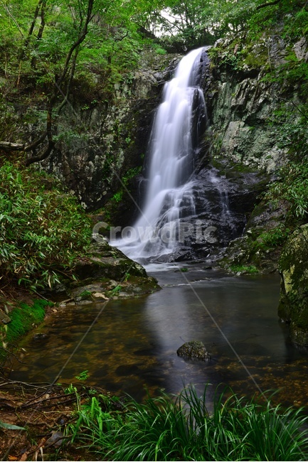 water,물,강,nature,자연,outdoors,옥외,waterfall,폭포,담양,용연계곡,계곡,stream,흐름,물흐름,여름,계절,피서지