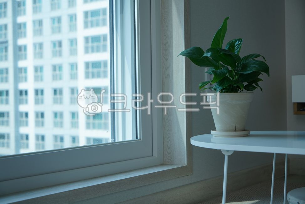 window, 창문, 방, 실내, interiordesign, 사진,이미지,일러스트,캘리그라피 - jin95작가