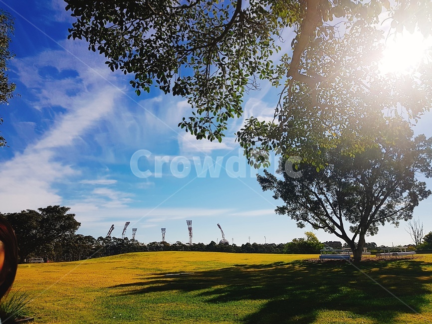light,빛,햇빛,sunlight,lunchtime,skyblue,하늘,쪽빛하늘,자연,nature,field,outdoors,옥외,grassland,자연,풍경,nature,landscape,flare,플레어,목초지,들