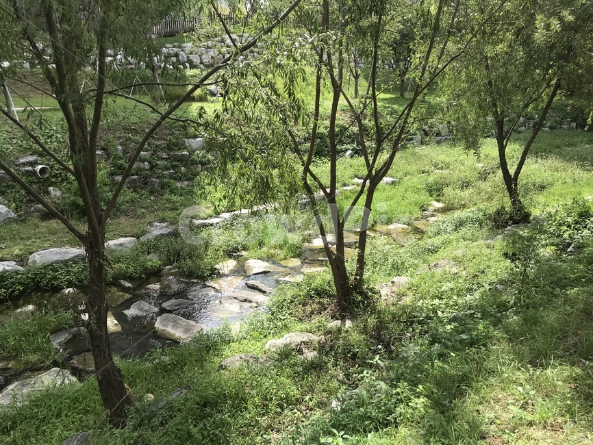 하천,개천,나무,물,자연,초록,날씨,공기,자연,풍경,nature,landscape