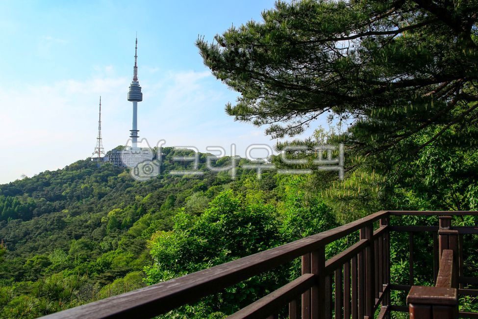 남산,남산서울타워,타워,산,건물,건축물,난간,옥외,자연,식물,하늘,구름,building,architecture,tower,railing