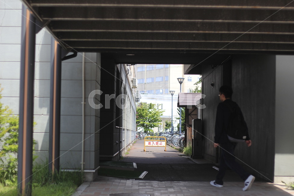 university,대학교,일본,히로사키,hirosaki,대학생,피사체,뒷모습,어두움,빛