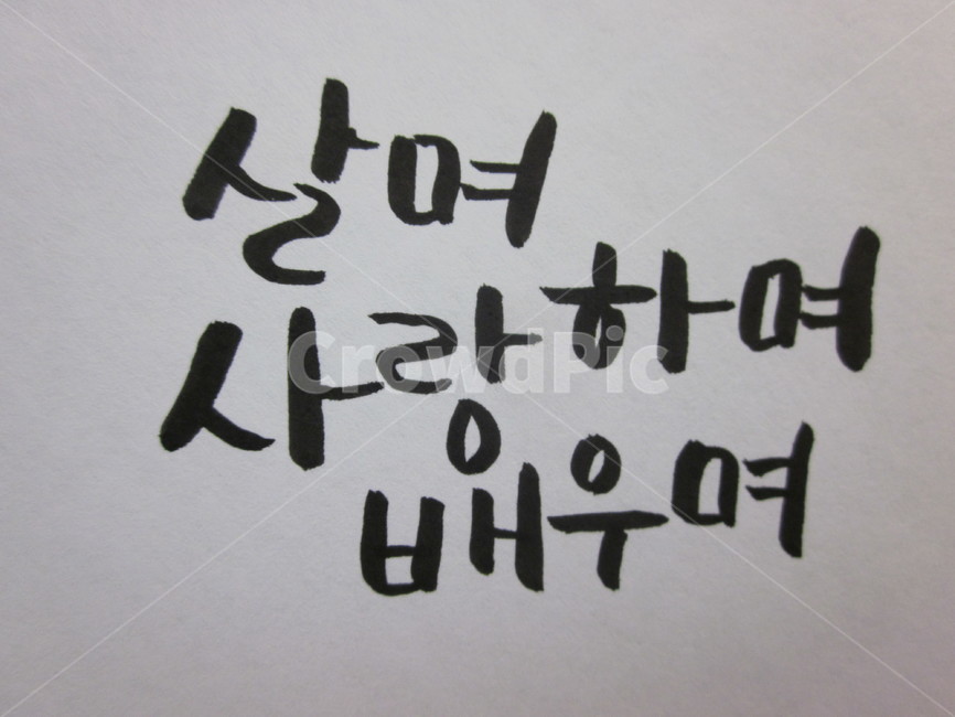 text,본문,캘리그라피,붓글씨,명언,캘리그라피,손글씨,calligraphy