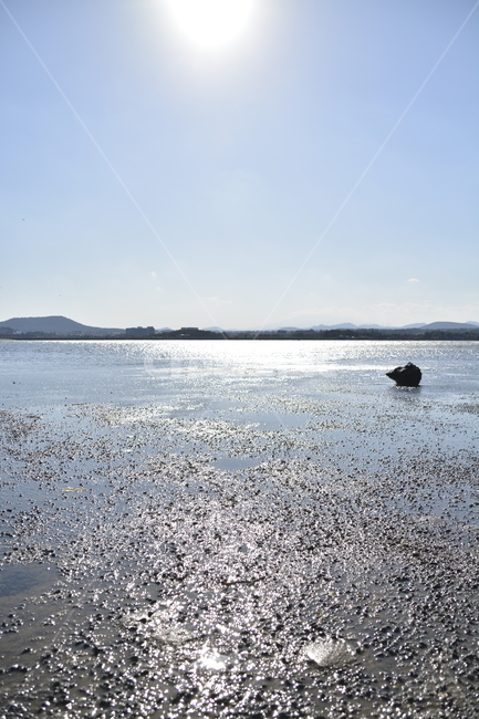 갯벌,바다,햇빛,풍경,제주도,자연,풍경,nature,landscape