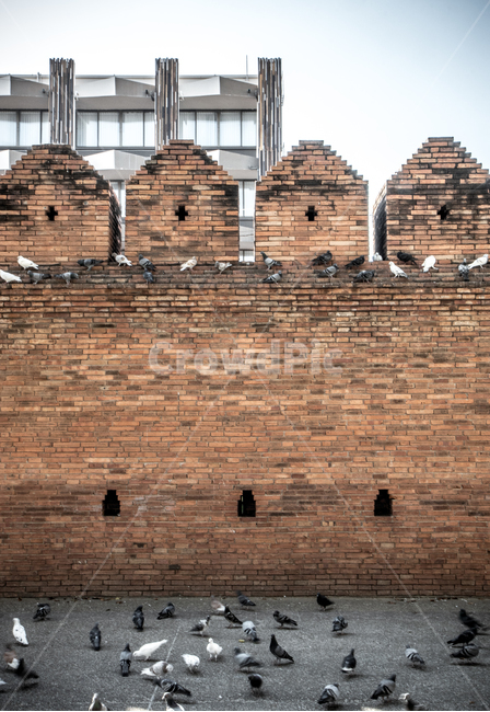 태국,치앙마이,타패게이트,벽,thailand,chiangmai,gate,wall