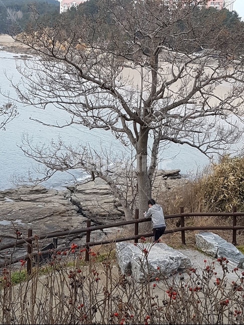 뒷모습,바다,부안,나무,변산반도,자연,풍경,nature,landscape,사람,인물,인간,human,person,남성,남자,man,male,tree,plant,식물,tree trunk,나무 줄기