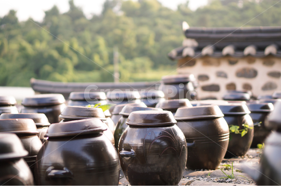 장독대,단지,해,풍경,돌담,한국전통,한국문화,korean traditional,korean culture,사물,물건,오브젝트,thing,object,matter