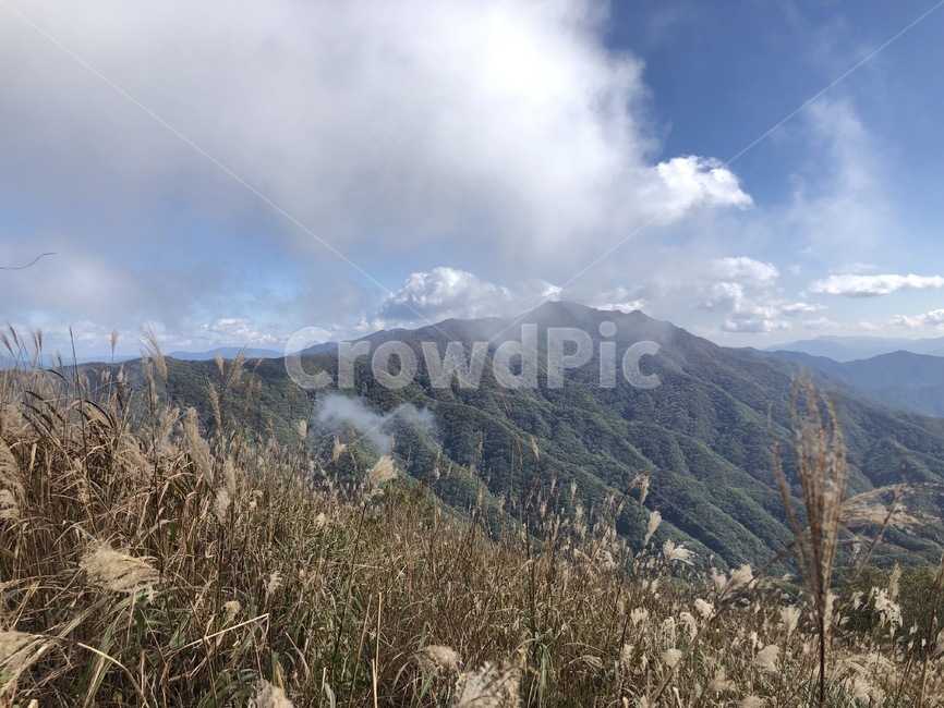 자연,mountainrange,산맥,산,nature,옥외,outdoors,mountain,장수,장안산,갈대,억새,구름,한국자연풍경,한국자연경관,korea nature landscape