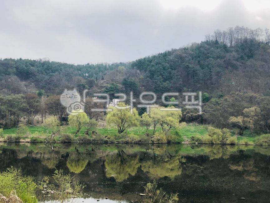 강가,강가풍경,강물,강물에비친,강