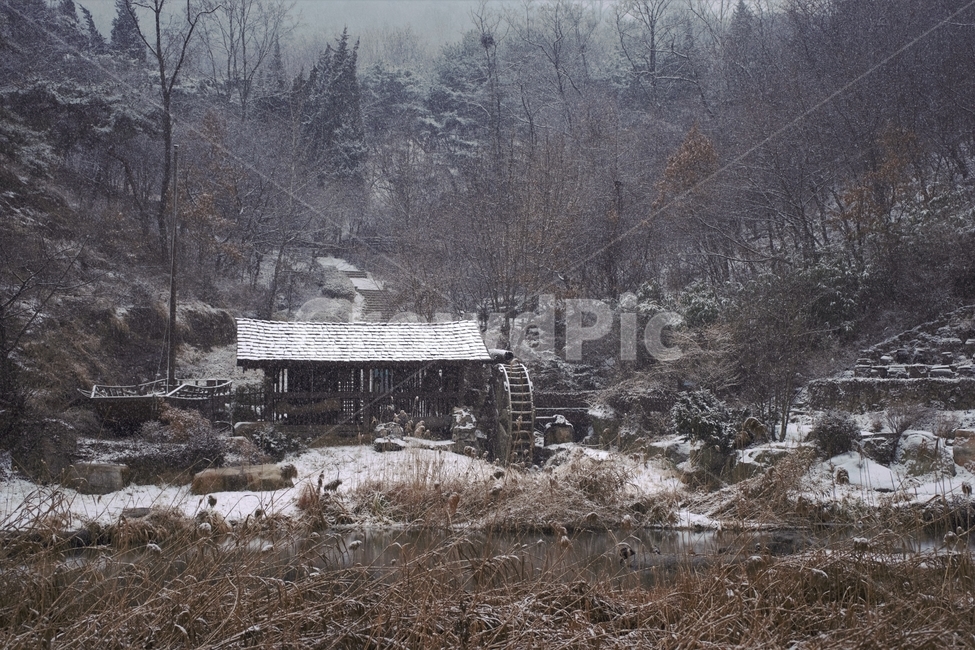 겨울,눈,물레방아,너와집,자연,계절,winter,감성,기분,feeling,watermill,snow,지붕,숲,나무,갈대,홍제천,겨울,계절,winter,season,자연,풍경,nature,landscape,한국자연풍경,한국자연경관,korea nature landscape,시골,마을,country,rural,town,outdoors,옥외,building,건물,shelter,피난처,농촌