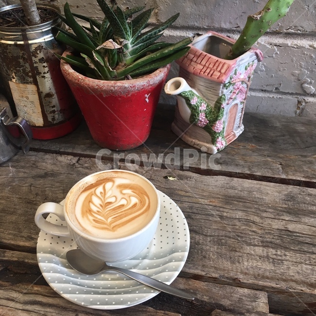 커피,멜버른,카페,라떼아트,coffee,flatwhite,플랫화이트,카페인,cafe,호주,australia,melbourne,화분,분위기