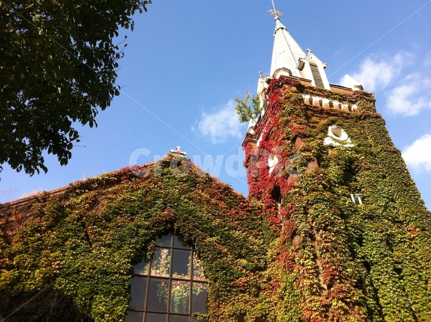 spire,첨탑,architecture,건축물,steeple,뾰족한탑,building,건물,대구,종교,제일교회,교회,종교,신앙,religion,belief,faith,건축물,건물외관,exterior,building,structure,architecture,construction