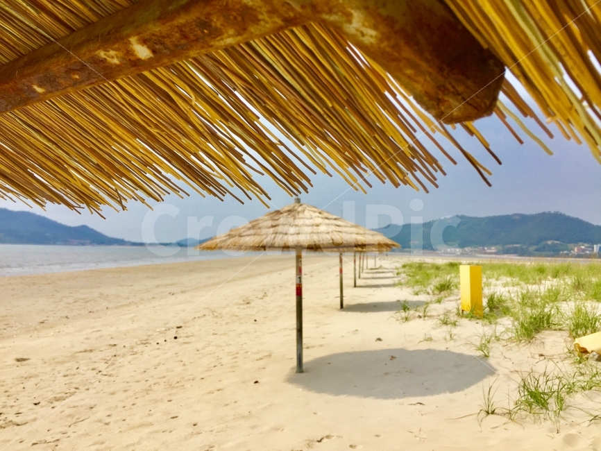 신안,해변,모래해변,파라솔,서해바다,고요함,화창함,자연,풍경,nature,landscape,해변,바다,beach,sea,summer,여름,water,물,shoreline,해안선