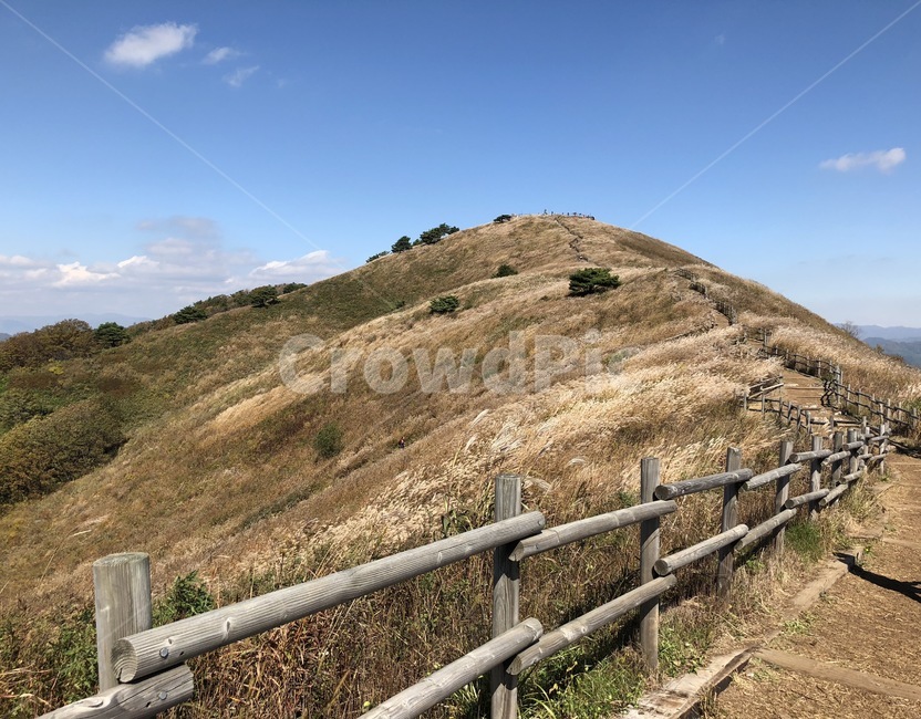 산,가을,갈대,울타리,갈색