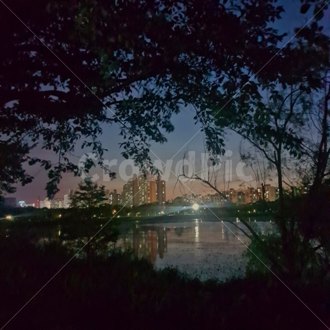 가을밤,밤하늘,밤풍경,풍경,감성,수원,만석공원,한국밤하늘,한국밤풍경,landscape,nature,야경,밤,풍경,nightscape,night,landscape,도시,city,한국도시풍경,한국도시경관,korea cityscape,water,물