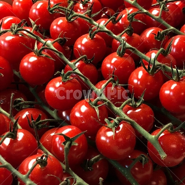 토마토,방울토마토,과일,야채,채소,food,빨간색,열매,과일,열매,fruit,채소,야채,vegetables