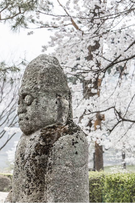장승,돌조각,지킴이,이끼,돌담,문양,봄,봄,계절,spring,season,한국전통,한국문화,korean traditional,korean culture,조각상,동상,석상,조형물,statue,bronze statue,stone statue