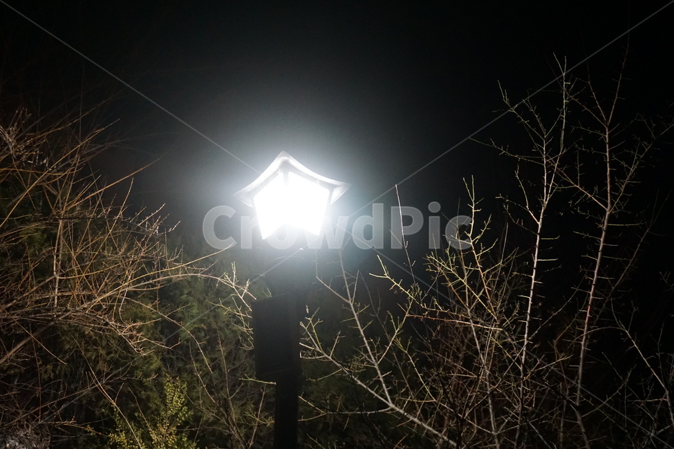 가로등,가로등불빛,불빛,밤불빛,동네가로등