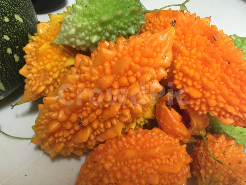여주,주황여주,농작물,농산물,야채,농사,음식,식재료,요리,food,cook,meal,dishes,food reserves,채소,야채,vegetables