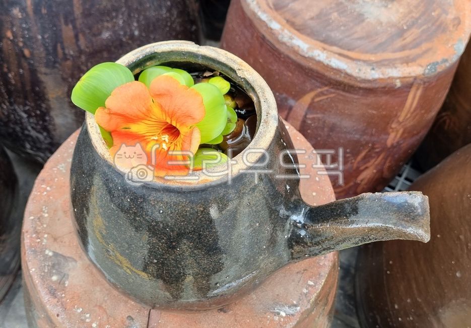ceramic,,dicotyledonous plant,earthenware,jar,jacaranda,noble flower,gold lantern,vine plant