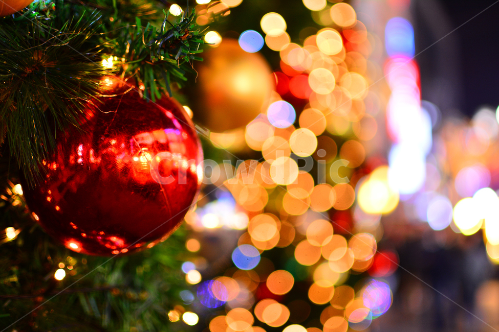 크리스마스,성탄절,보케,트리,야경,xmas,성탄볼,년말,장식,데코레이션,볼,화려한,중심가,밤거리,시내,12월,tree,merrychristmas,decoration,배경,바탕,백그라운드,background,조명,불빛,빛망울,칼라풀,colorful,연인,거리,사람들,겨울,계절,winter,season,야경,밤,풍경,nightscape,night,landscape,기념일,축하,anniversary,congratulation,celebrate,celebration,메리크리스마스,성탄절,merry christmas,ornament