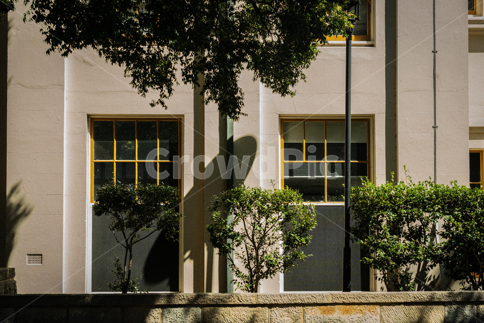 나무,감성,그림자,필름,창문,tree,film,window,shadow
